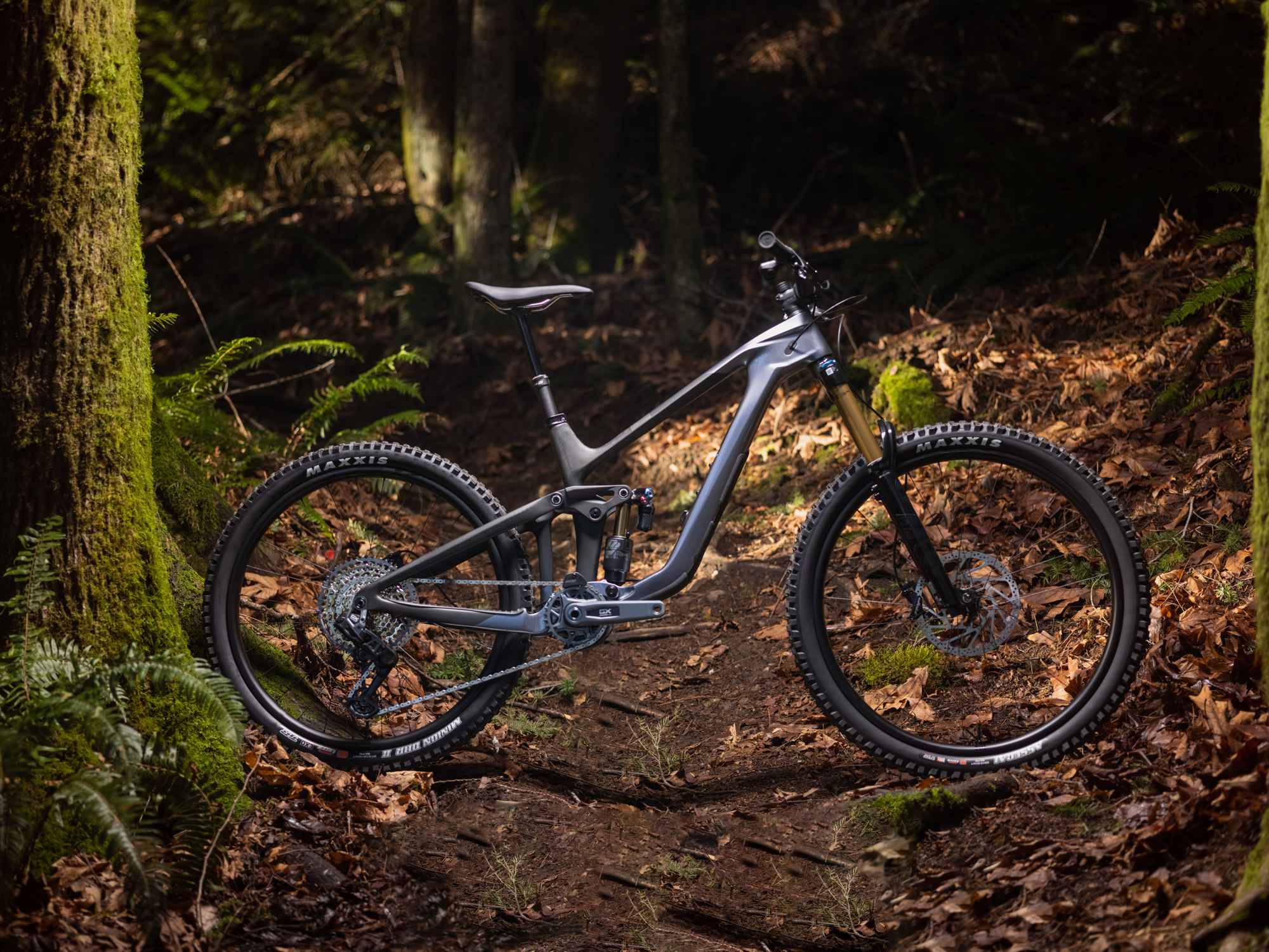 Giant Reign Advancend 1 Fully MTB aus Carbon steht im Wald