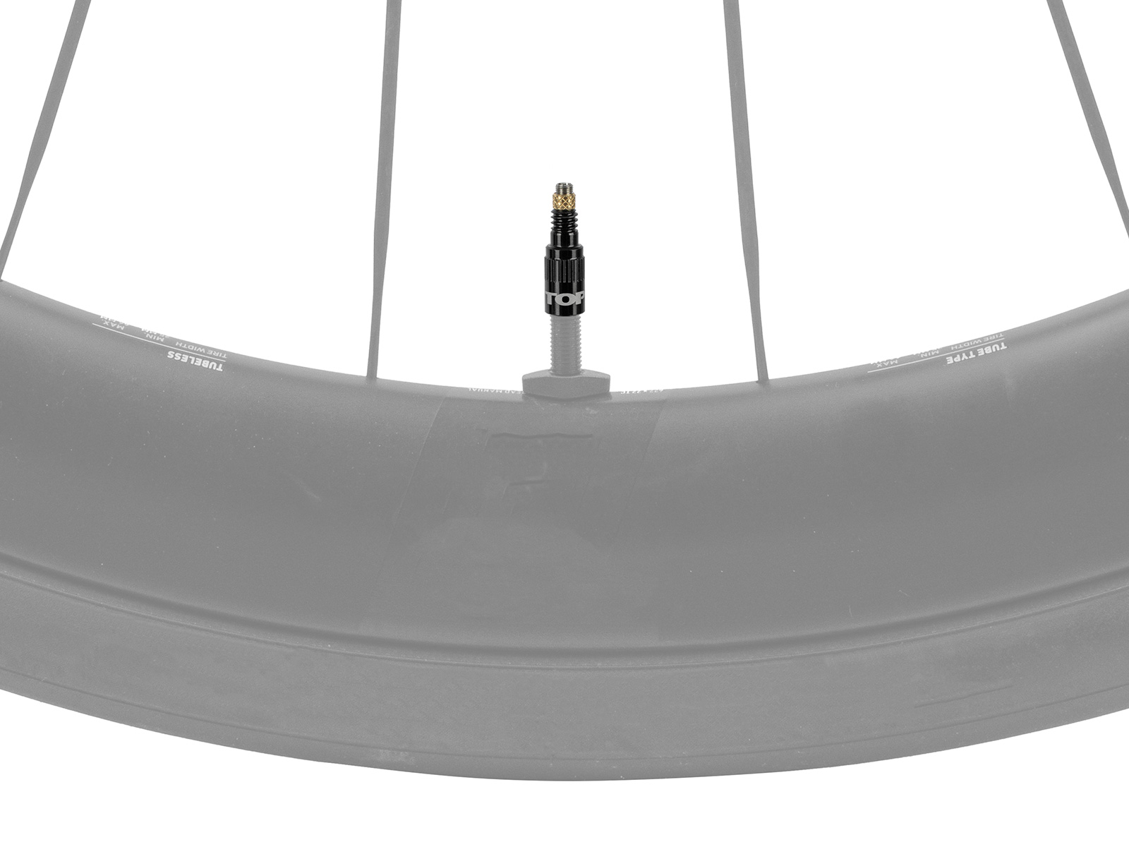 Tubeless-Ventil montiert in einem grauen Fahrradlaufrad mit Speichen, auf weißem Hintergrund.