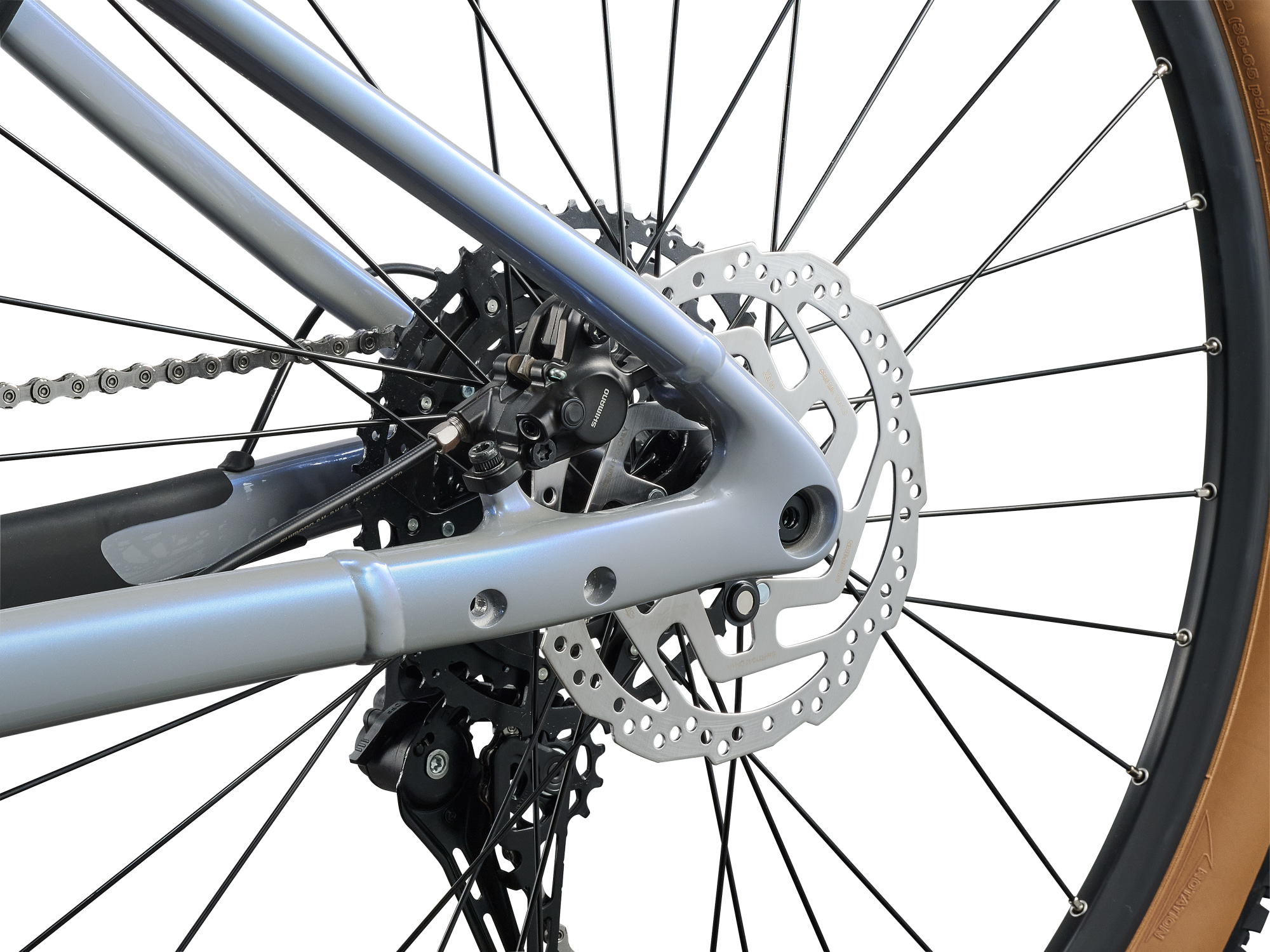 Giant Talon E+ 2 E-Mountainbike in Moonstone mit Hinterradbremse und Scheibenbremsrotor im Detail.