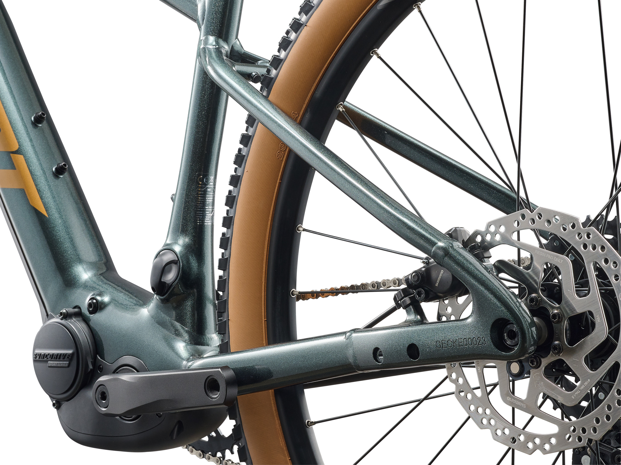 Giant E-MTB Talon E+ ind dunklem grün , Detailansicht hintere Scheibenbremse und Motor