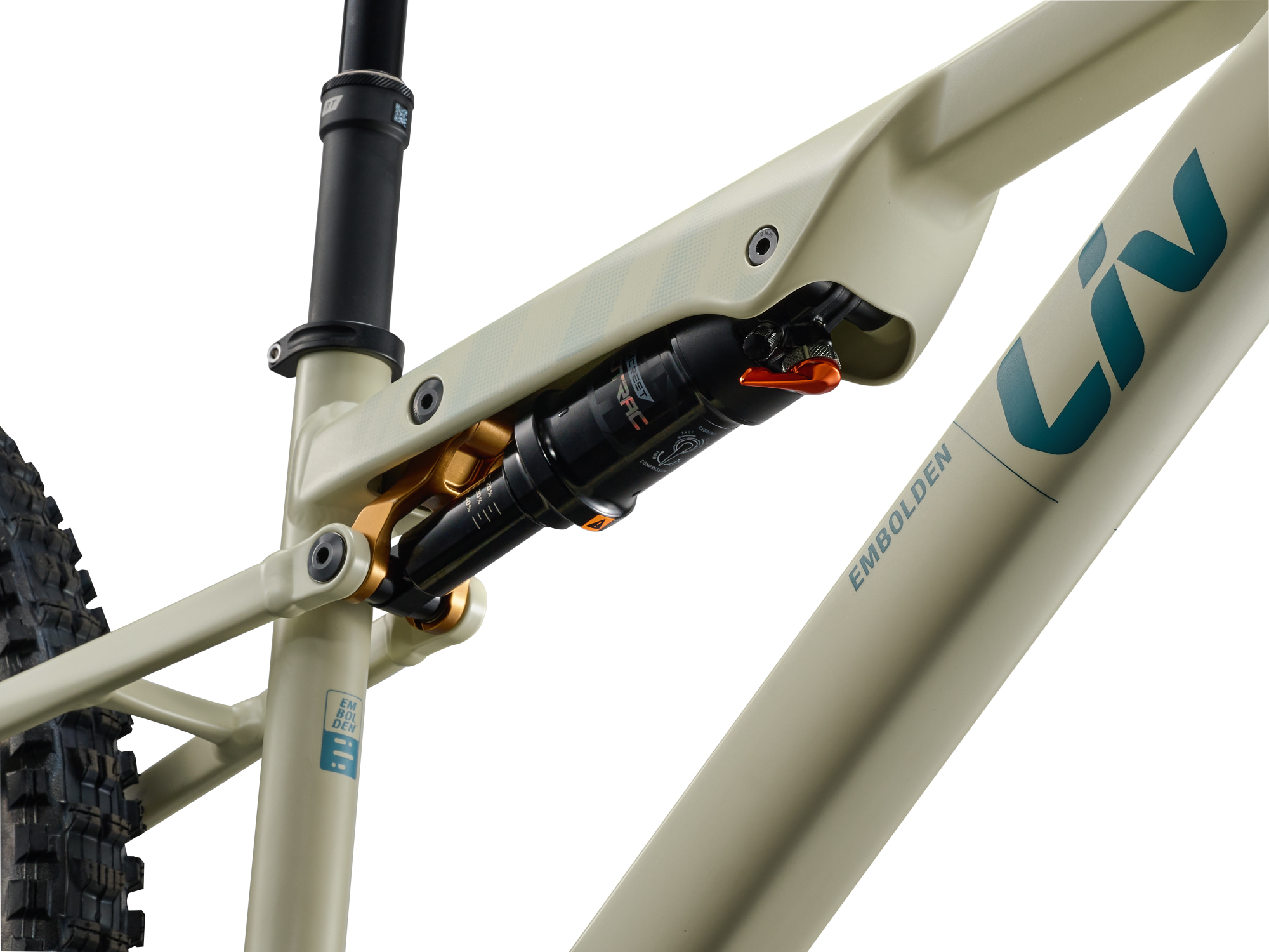 Liv Embolden Mountainbike in Pale Moss mit Hinterbaudämpfer und Rahmendetail.