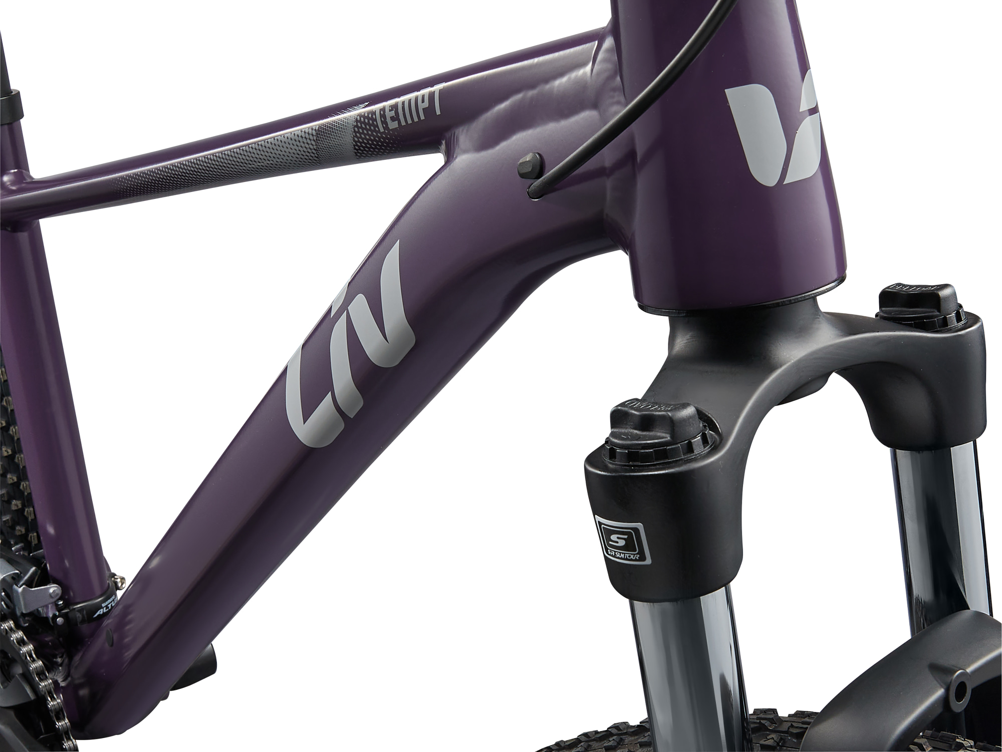 Liv Damen-MTB Hardtail Tempt 3, Detailansicht Steuerkopf und Gabelbrücke