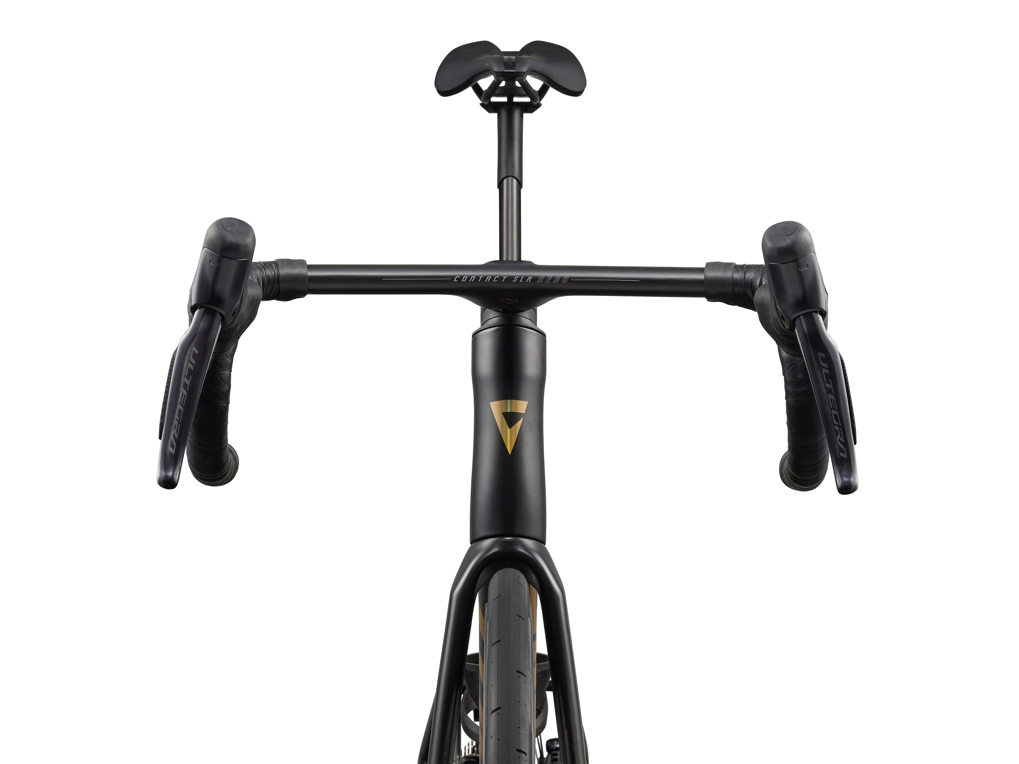 Giant Propel Advanced SL Rennvelo in Raw Carbon mit Aero-Lenker und Frontansicht.