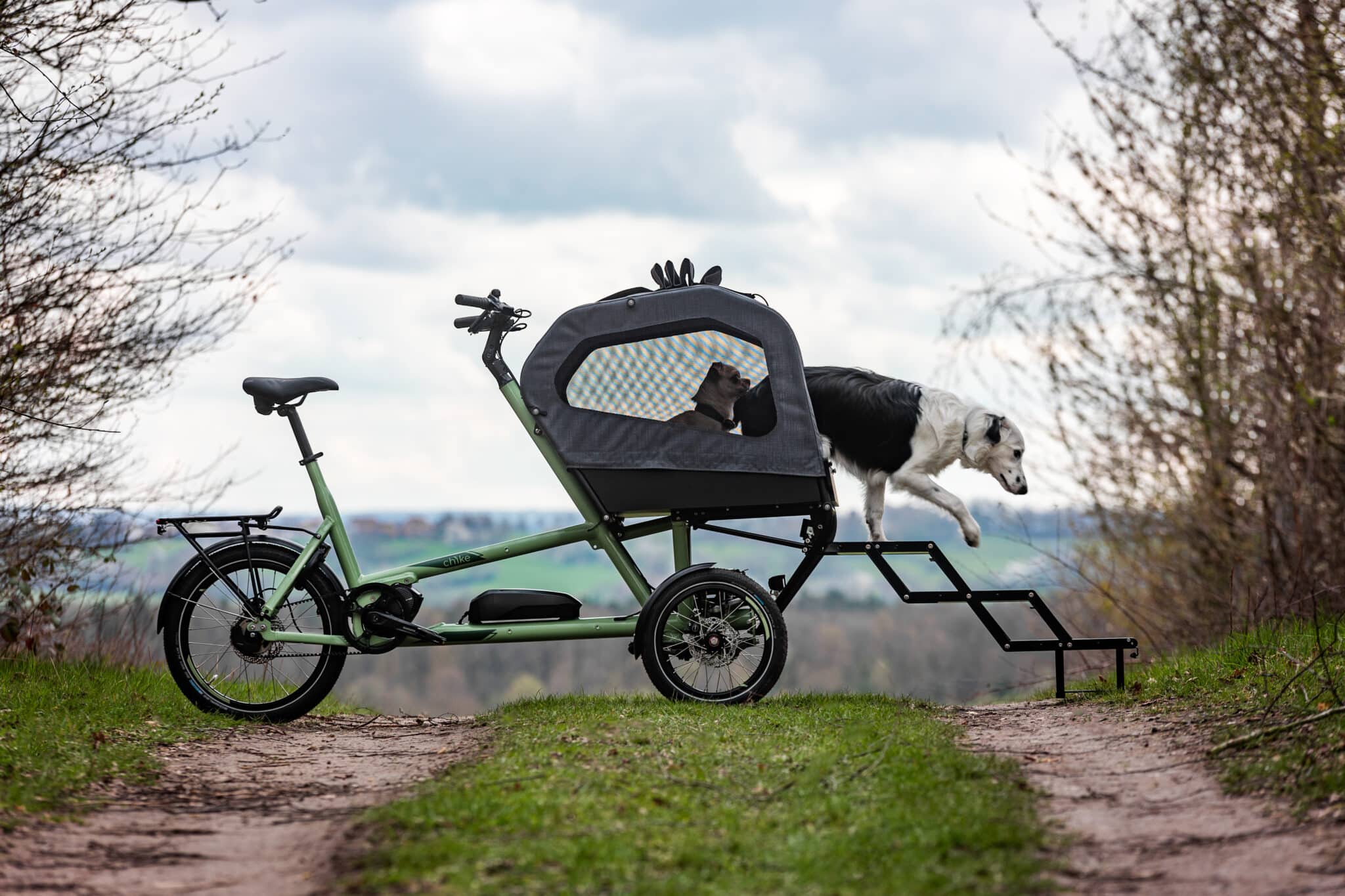 Chike E-Dog E-Lastenrad mit komfortabler Hundebox und Rampe, Hund steigt selbstständig auf einem Waldweg aus