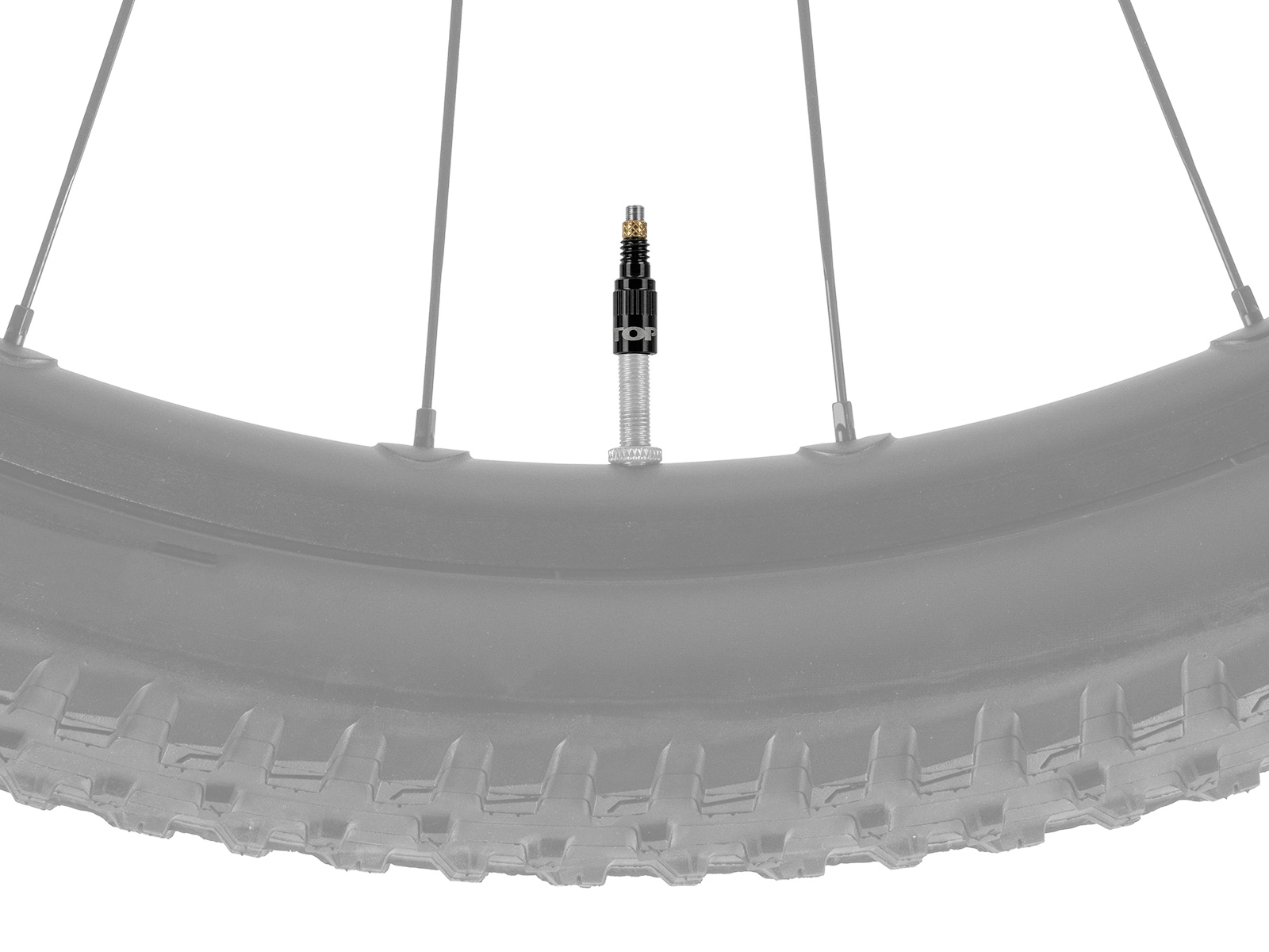 Topeak Turboflow Ventiladapter TFV-08 am MTB-Felgenventil mit breitem Stollenreifen montiert.