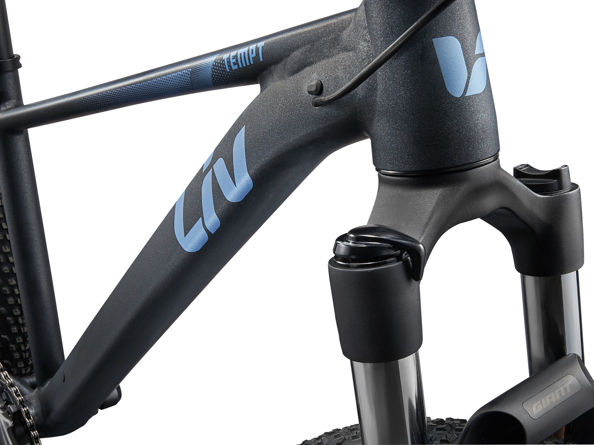 Liv Damen-MTB Hardtail in dunklem grau mit hellblauer Aufschrift, Detailansicht auf Steuerrohr
