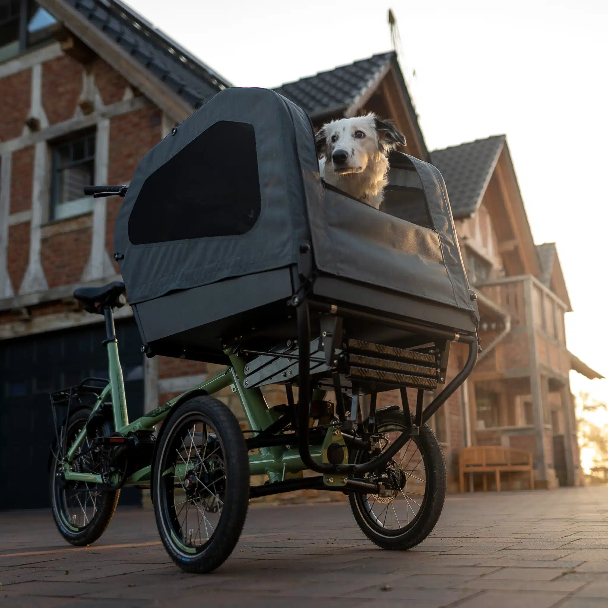 Chike E-Dog E-Cargobike mit erhöhter Hundebox, sicherer Transport von Hunden im urbanen Wohnumfeld